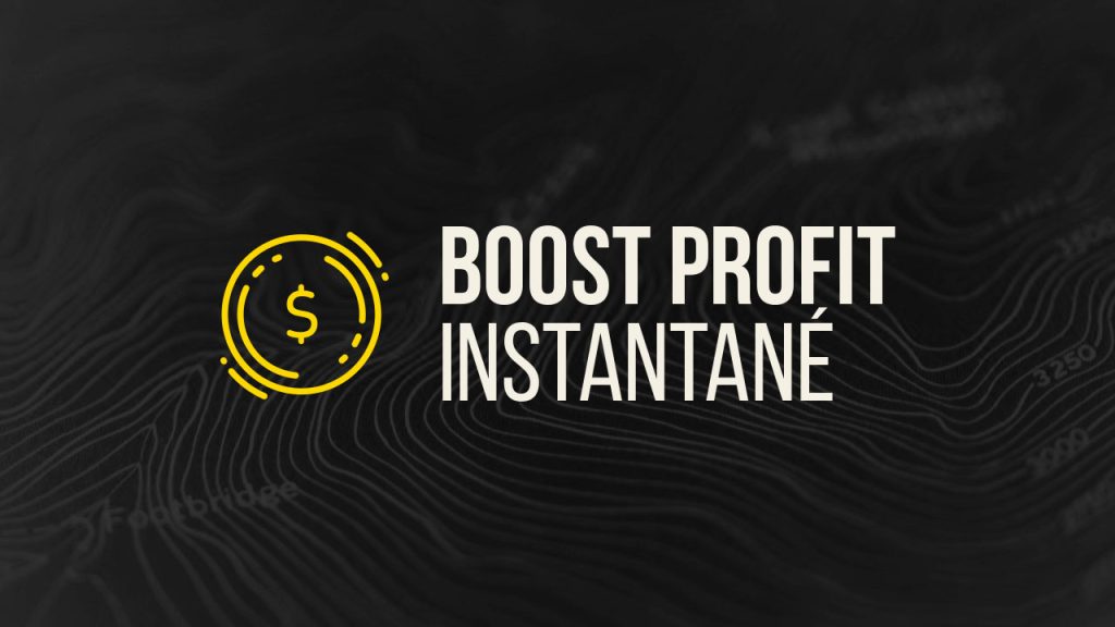 Boost Profit Instantané